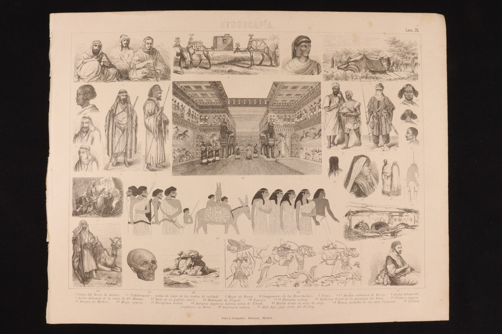 Antiques of engraving ethnography sheet gras y c tuarico bedouins costumes