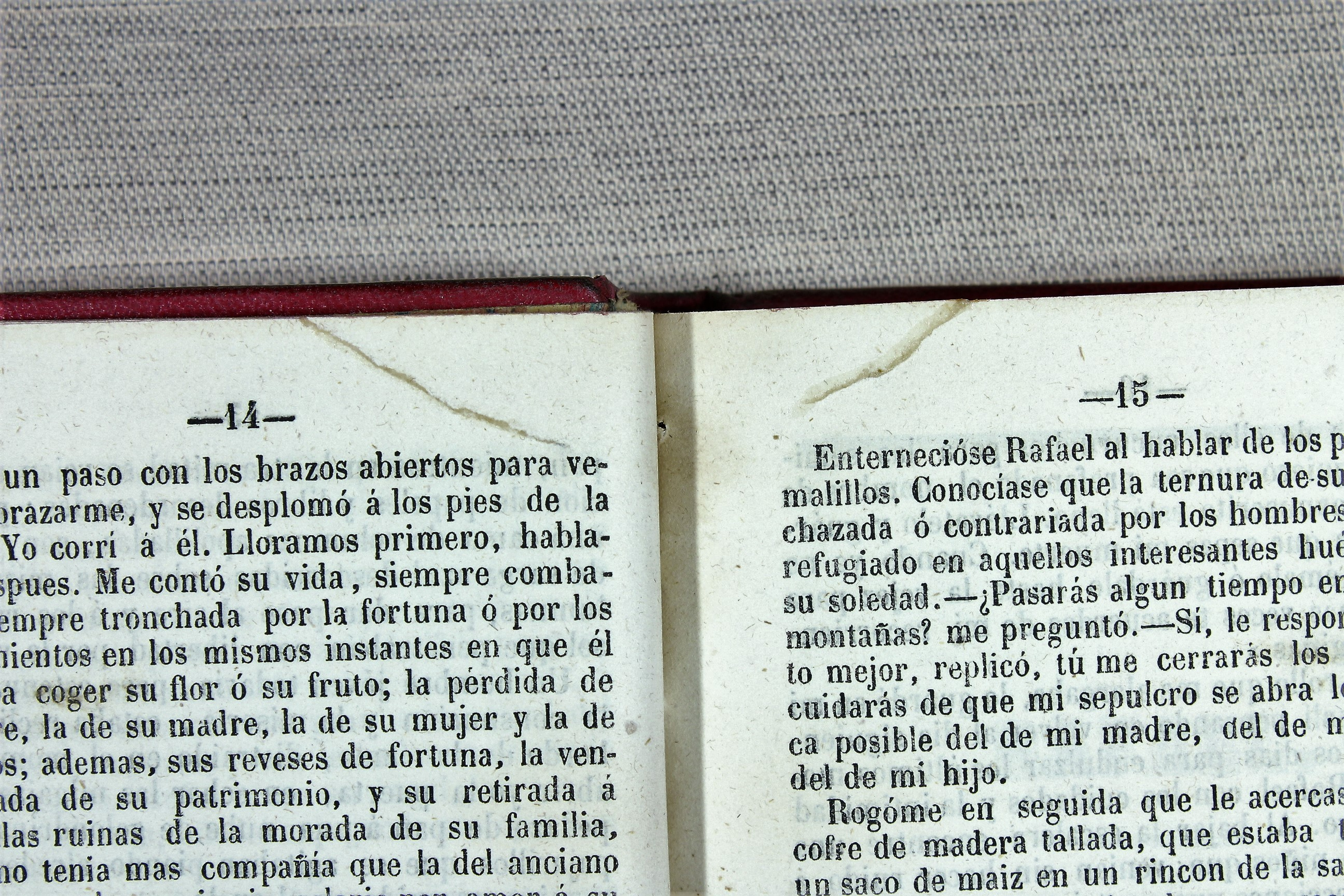 El último de los Stuardos. Gozlan. Charles Stuart. Rafael. Lamartine