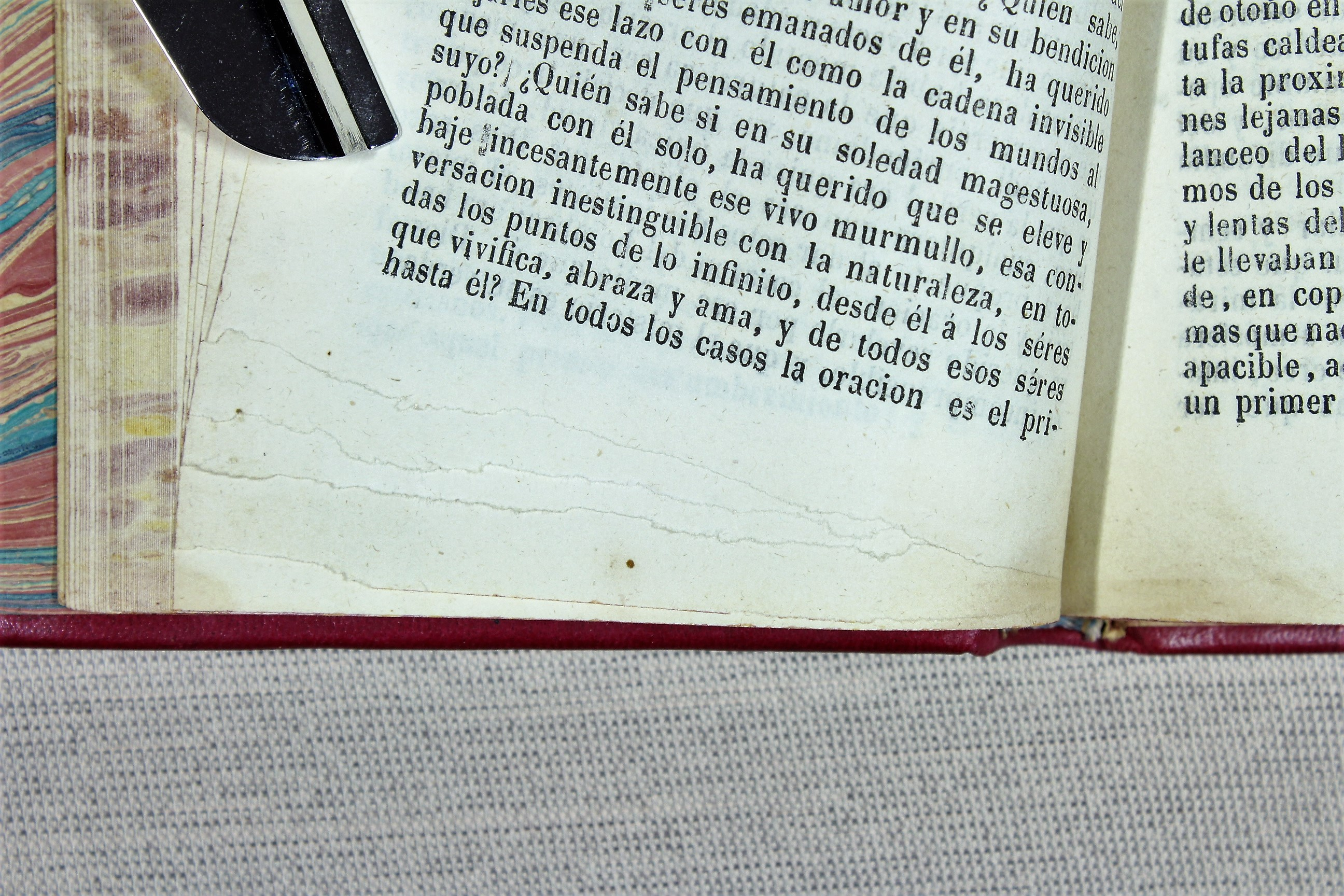 El último de los Stuardos. Gozlan. Charles Stuart. Rafael. Lamartine