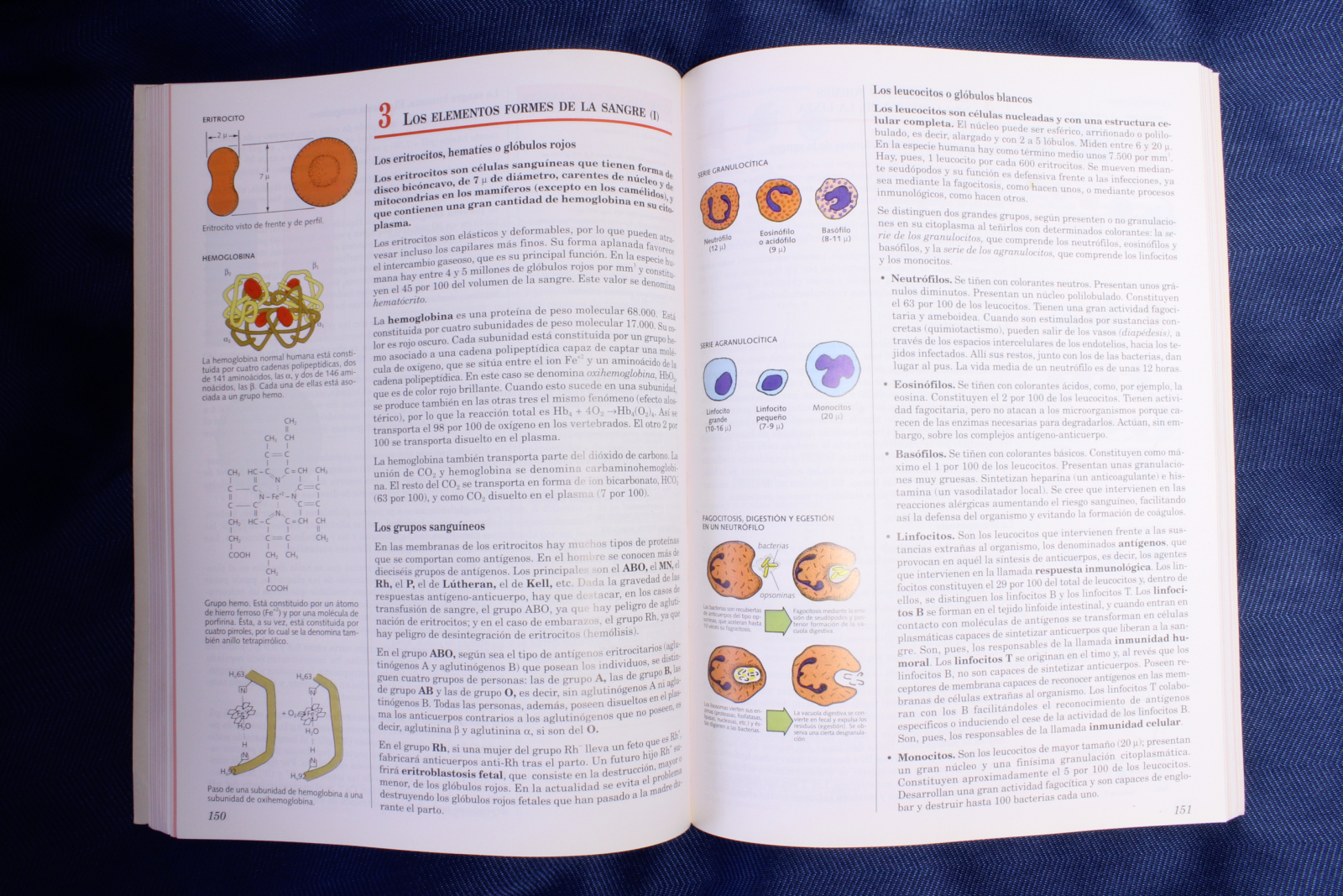 Libro Ciencias Naturales. 3º BUP. Santillana. 1998