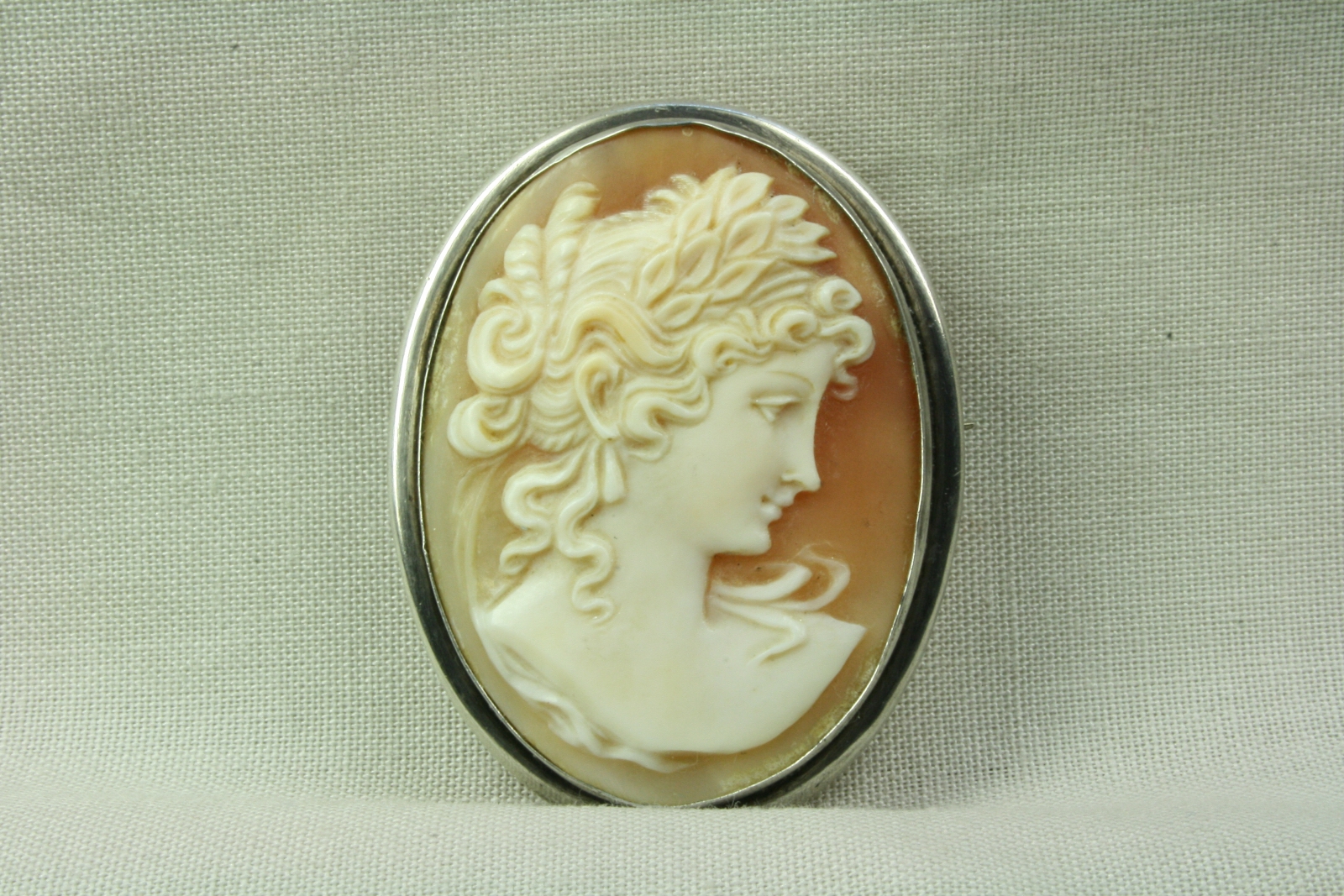 Antiques of cameo brooch shell