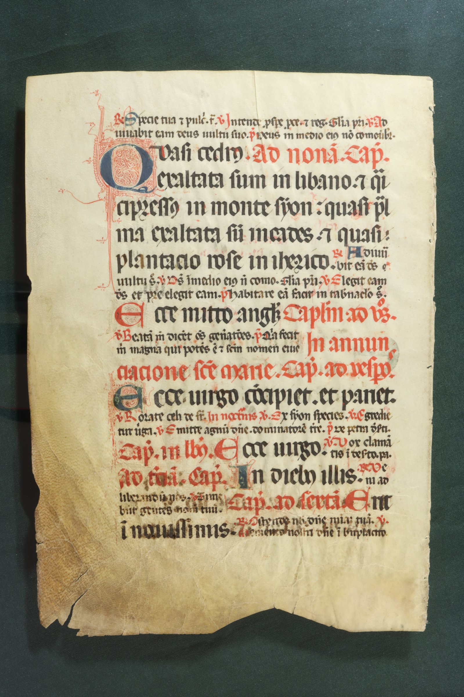 HOJA DE PERGAMINO MANUSCRITO 2. S.XV (t)