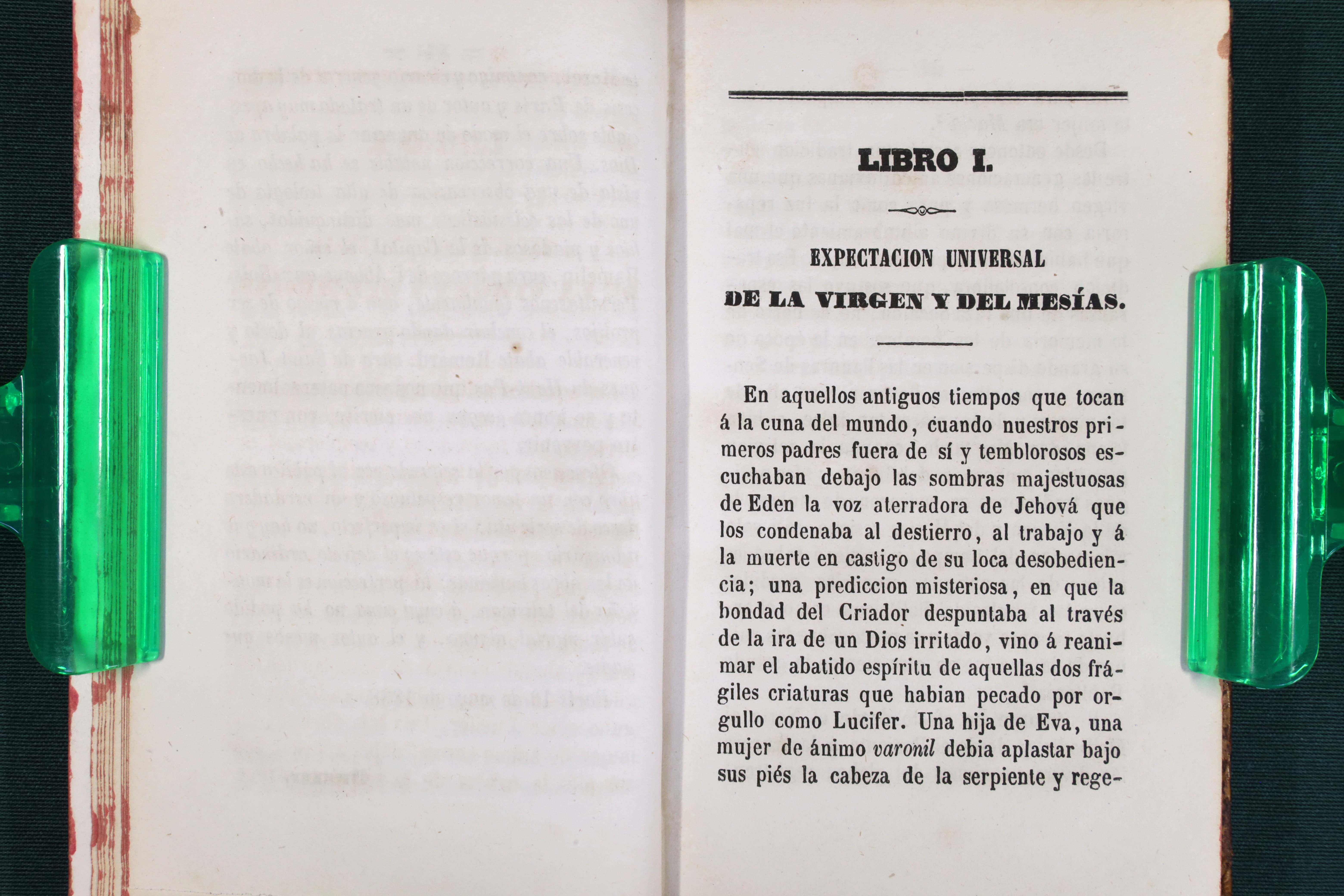 LA VIRGEN. HISTORIA DE MARÍA MADRE DE DIOS. DOS TOMOS. 1857