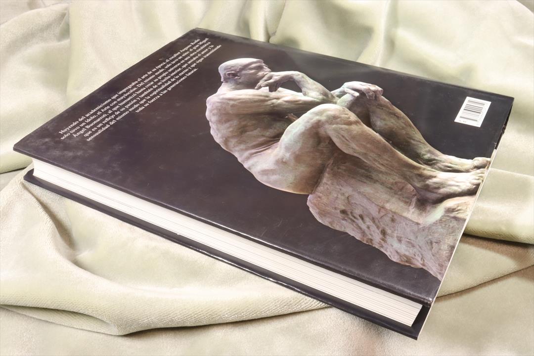 LIBRO RODIN. PRECURSOR DE LA ESCULTURA MODERNA. 2012 (t)