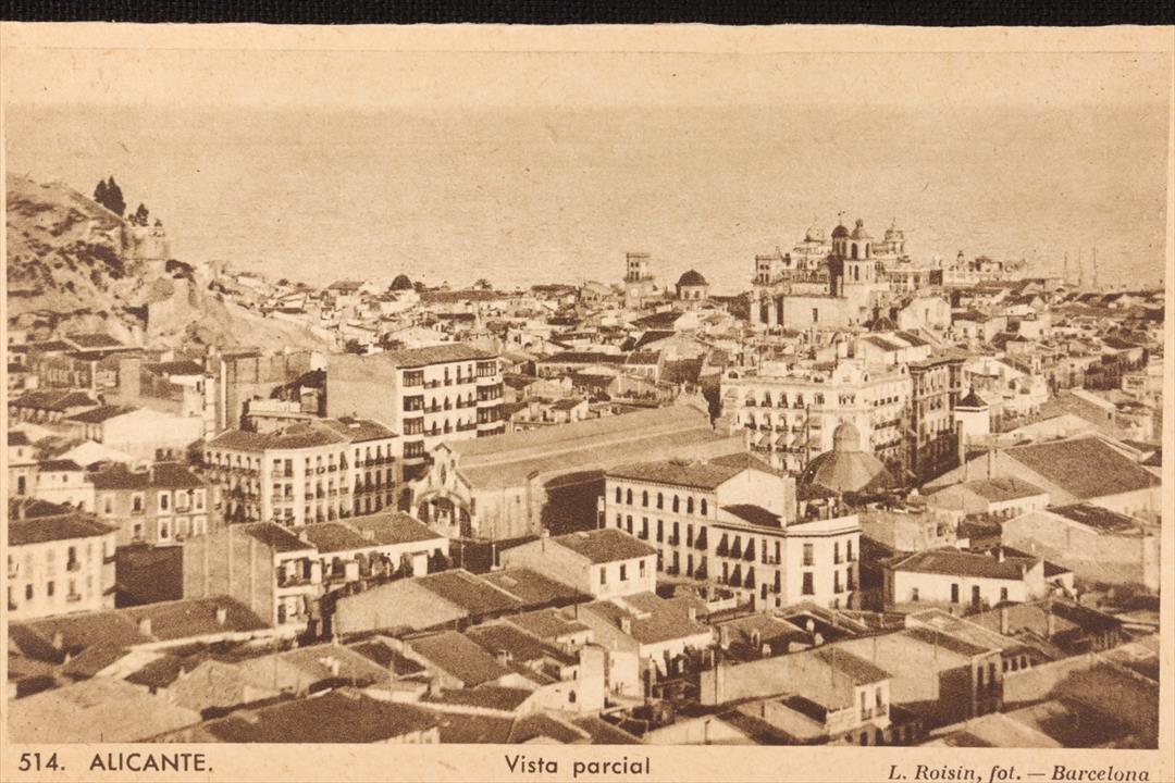 POSTAL ALICANTE. VISTA PARCIAL. SEPIA. 514. (x)