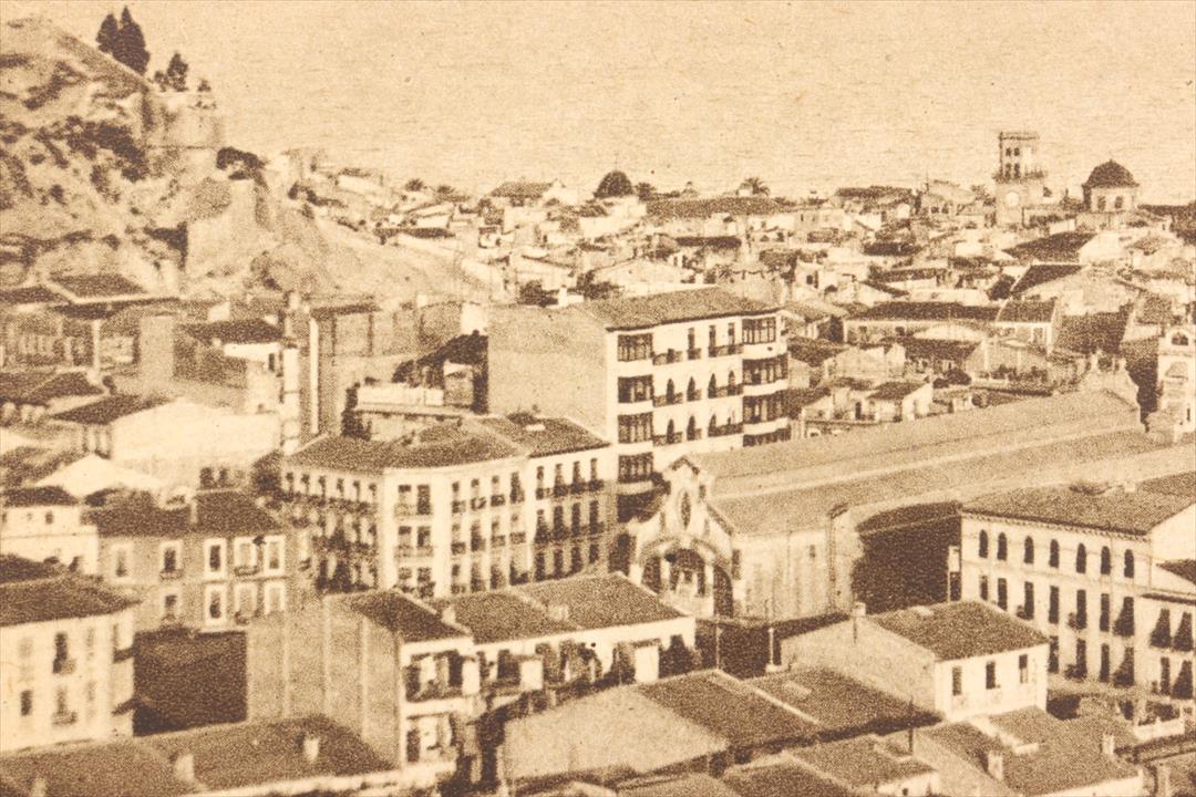 POSTAL ALICANTE. VISTA PARCIAL. SEPIA. 514. (x)