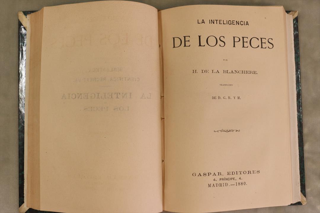 ENCICLOPEDIA. BIBLIOTECA CIENTÍFICA RECREATIVA. COMPLETA. 1870 (t)